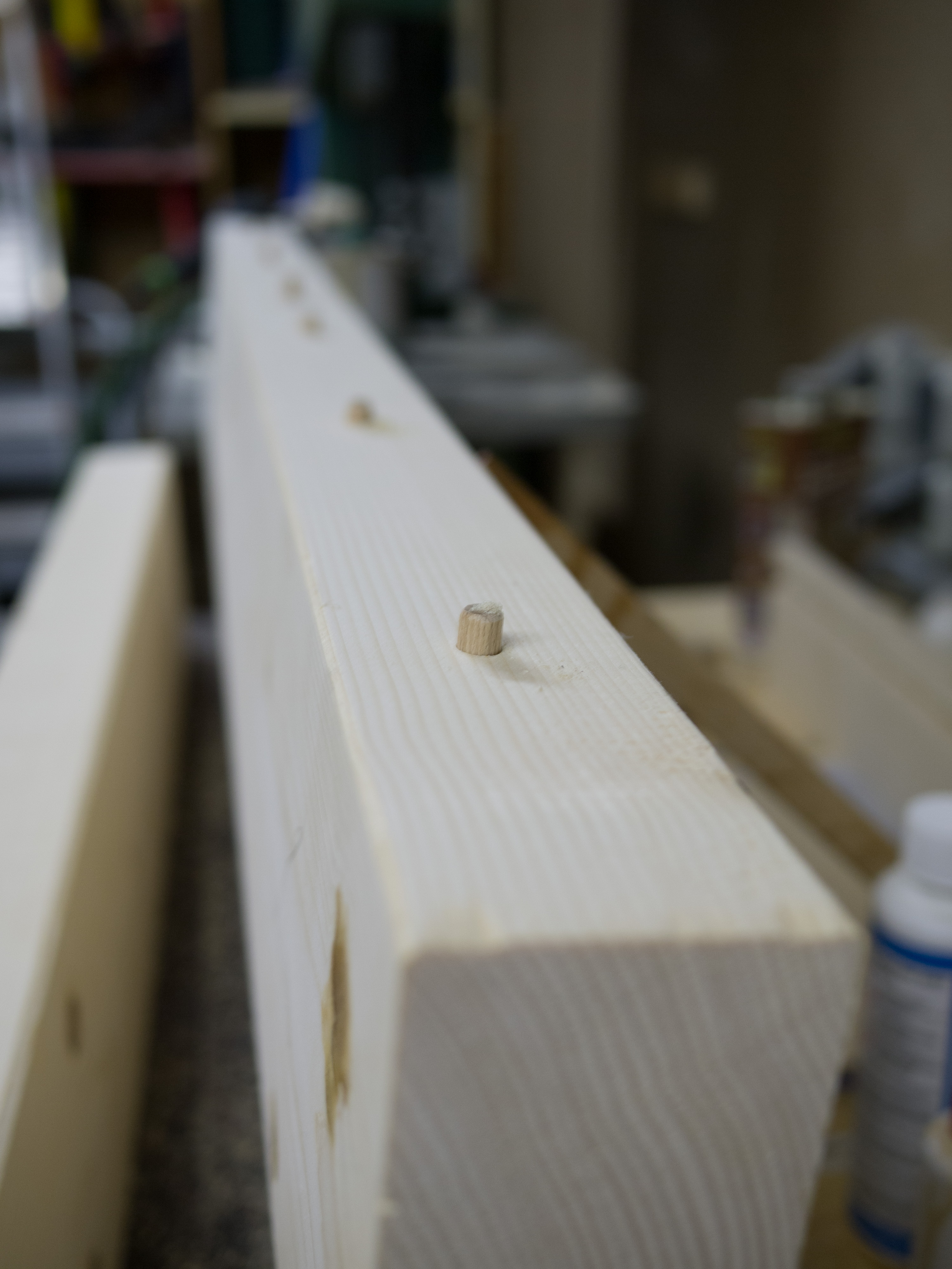 20170531 Balkenbett 016